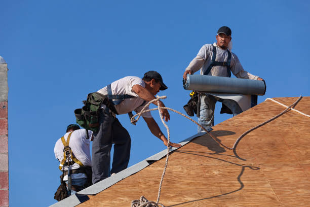 Best Roof Gutter Cleaning  in Cleora, OK