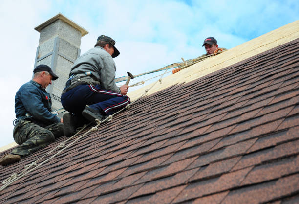 Best New Roof Installation  in Cleora, OK